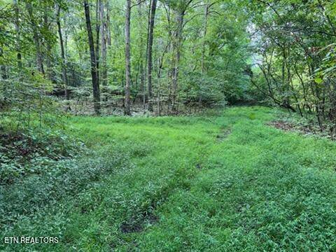 Baneberry, TN 37890,Lot 1205 & 1206 PL