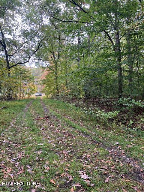 Baneberry, TN 37890,Lot 1205 & 1206 PL