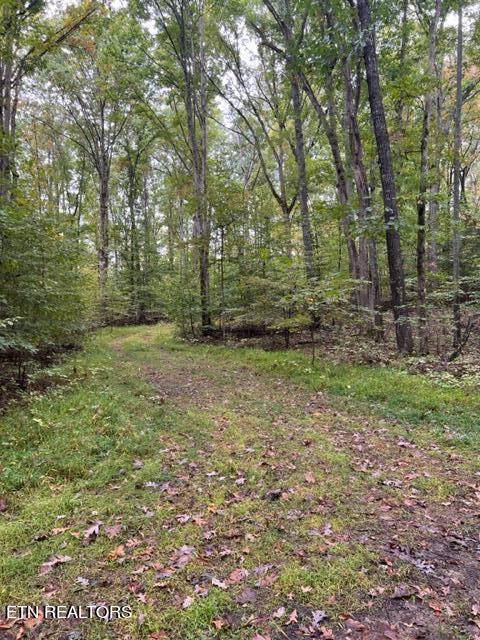 Baneberry, TN 37890,Lot 1205 & 1206 PL