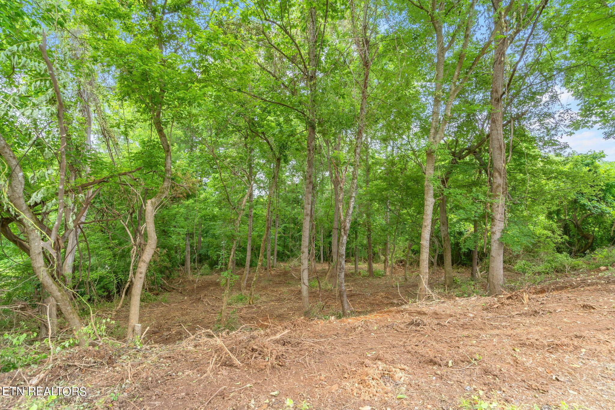 Clinton, TN 37716,Lot # 0051 Orchard Knob Rd