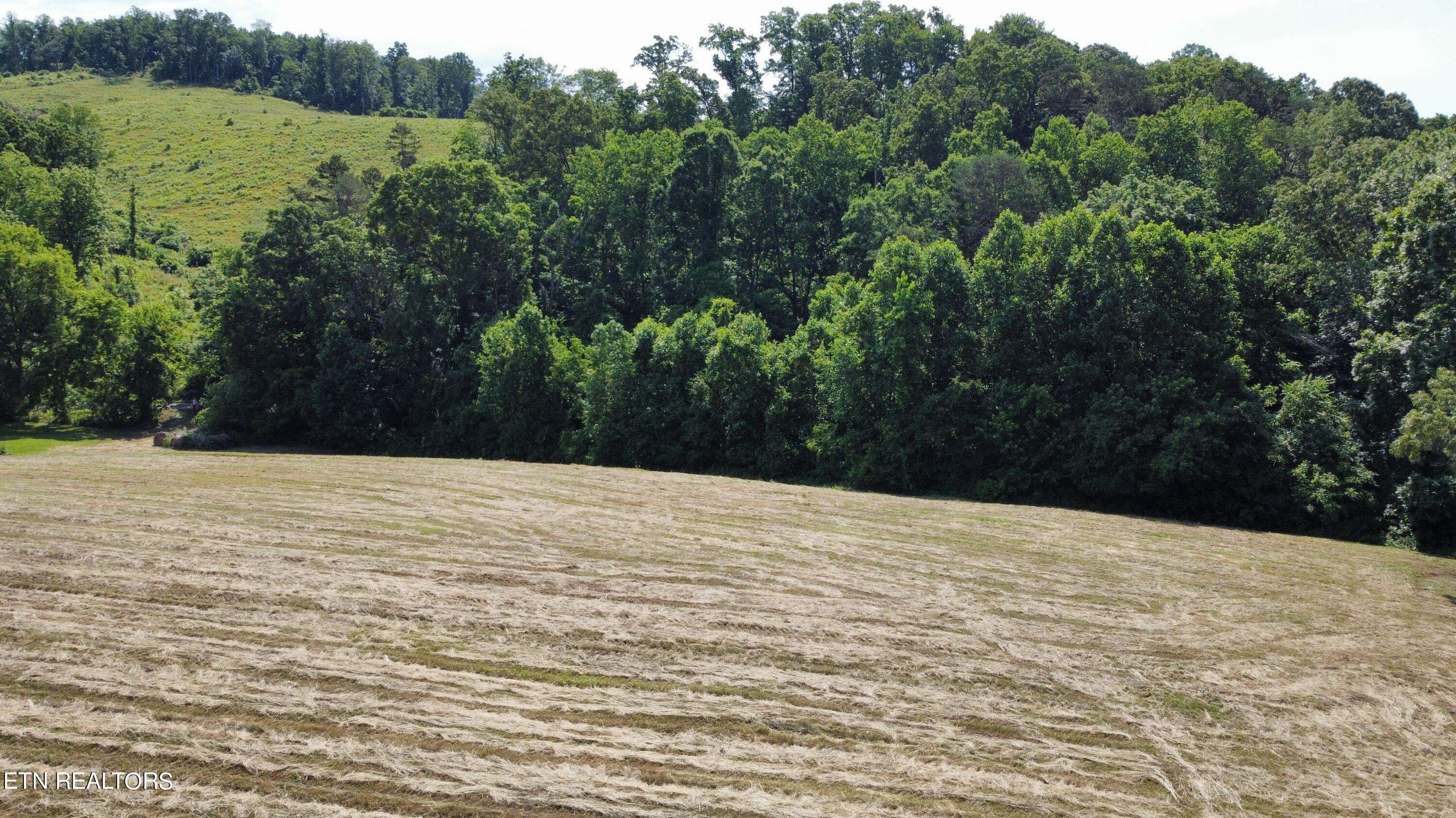 Blaine, TN 37709,7.35 acres Mitchell Rd