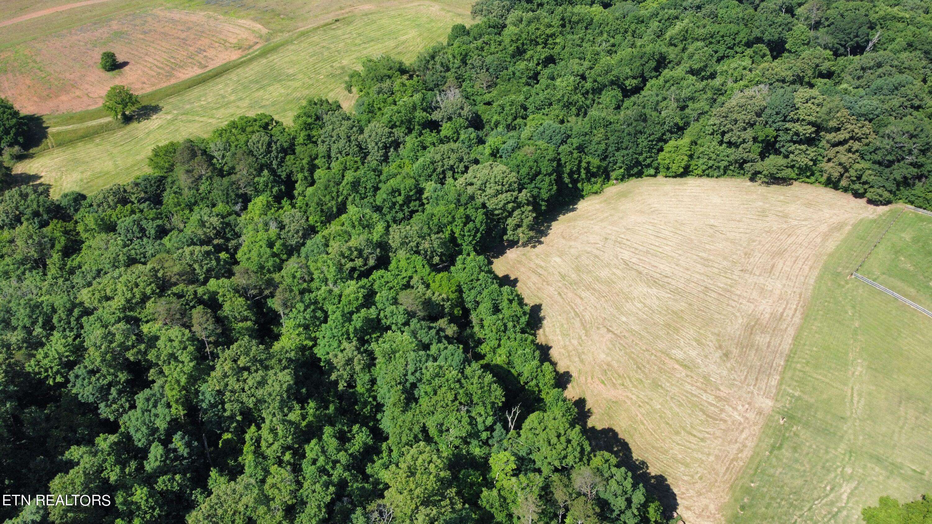 Blaine, TN 37709,7.35 acres Mitchell Rd