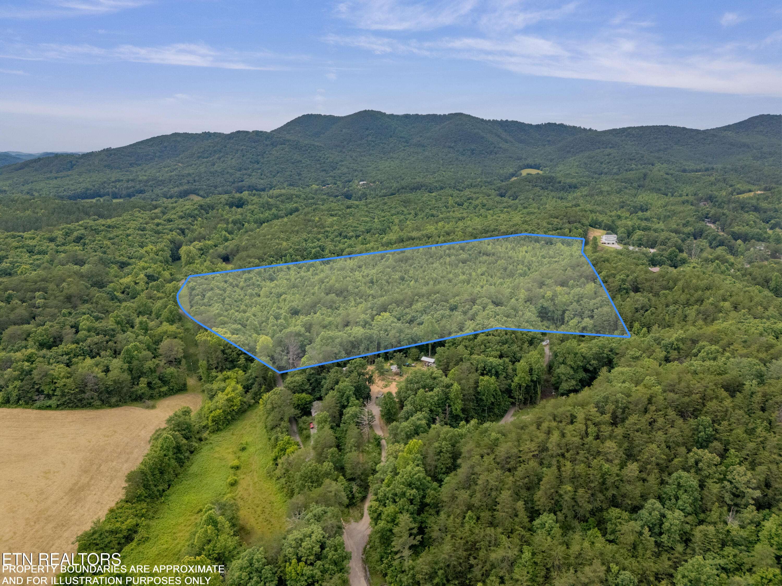 Tellico Plains, TN 37385,Wiggins Rd