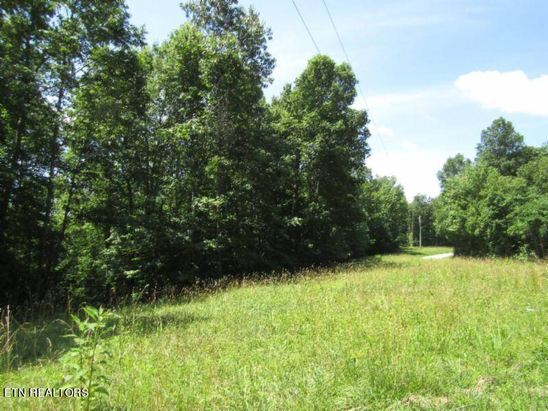 Hilham, TN 38568,Lot 5 & 6 Benton Tidwell Rd