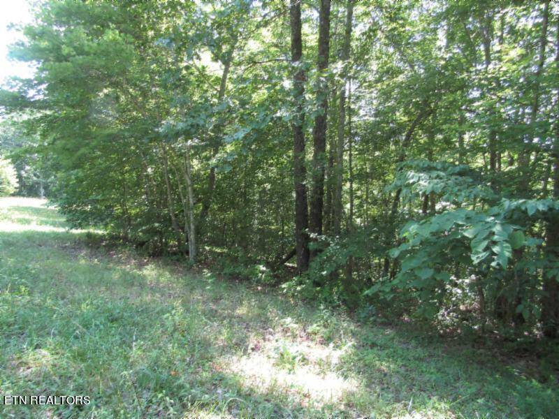 Hilham, TN 38568,Lot 5 & 6 Benton Tidwell Rd