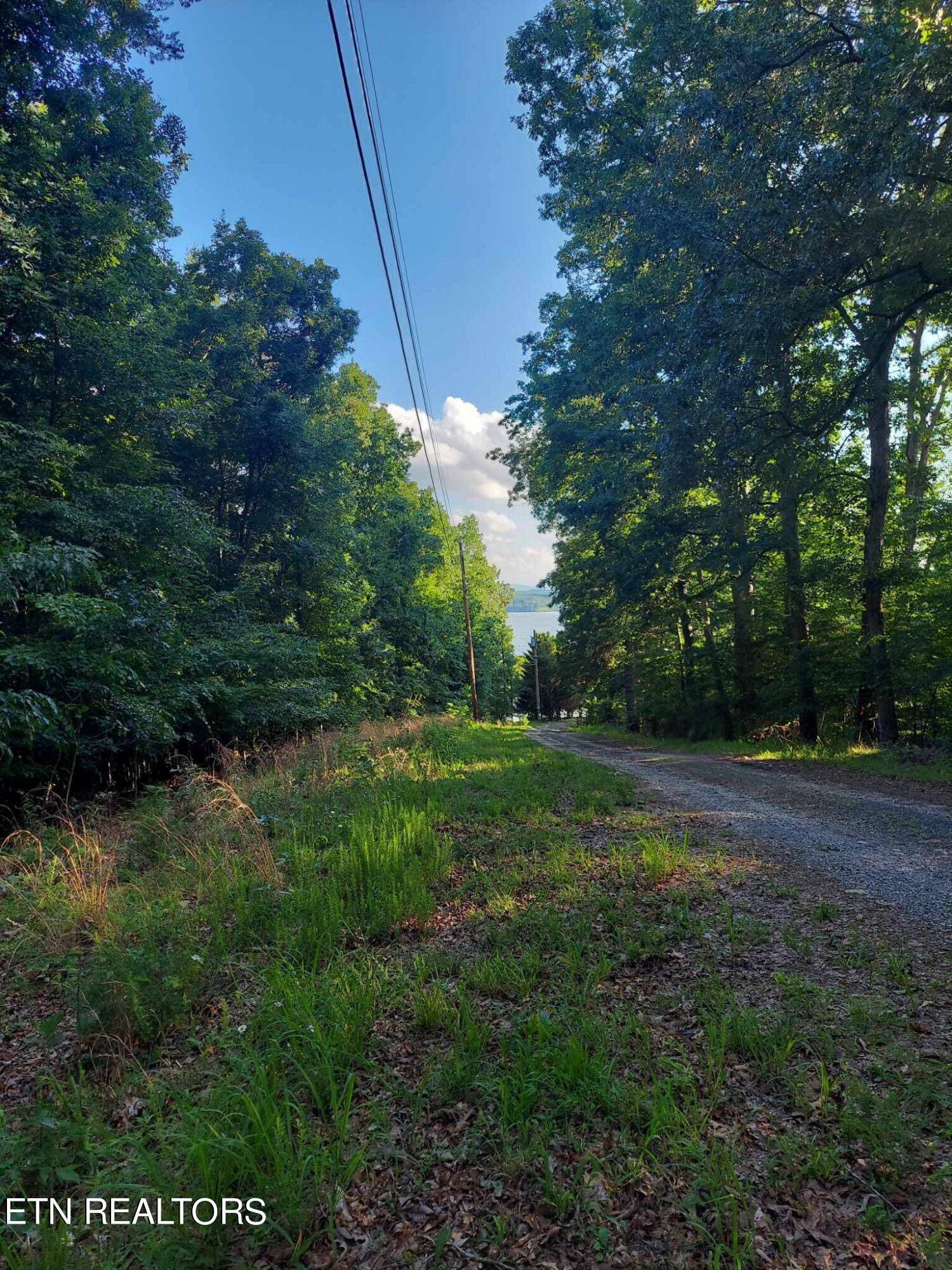 Baneberry, TN 37890,3.57 Acres Tyler Court & Stoneway PL