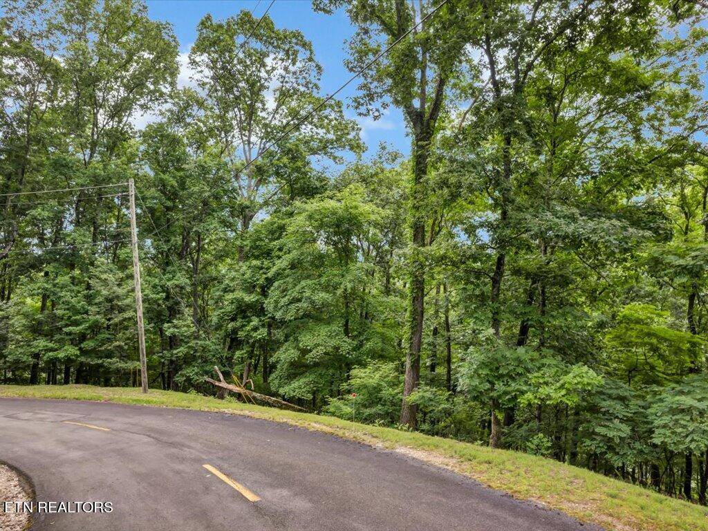 Mooresburg, TN 37811,811 Wilderness DR