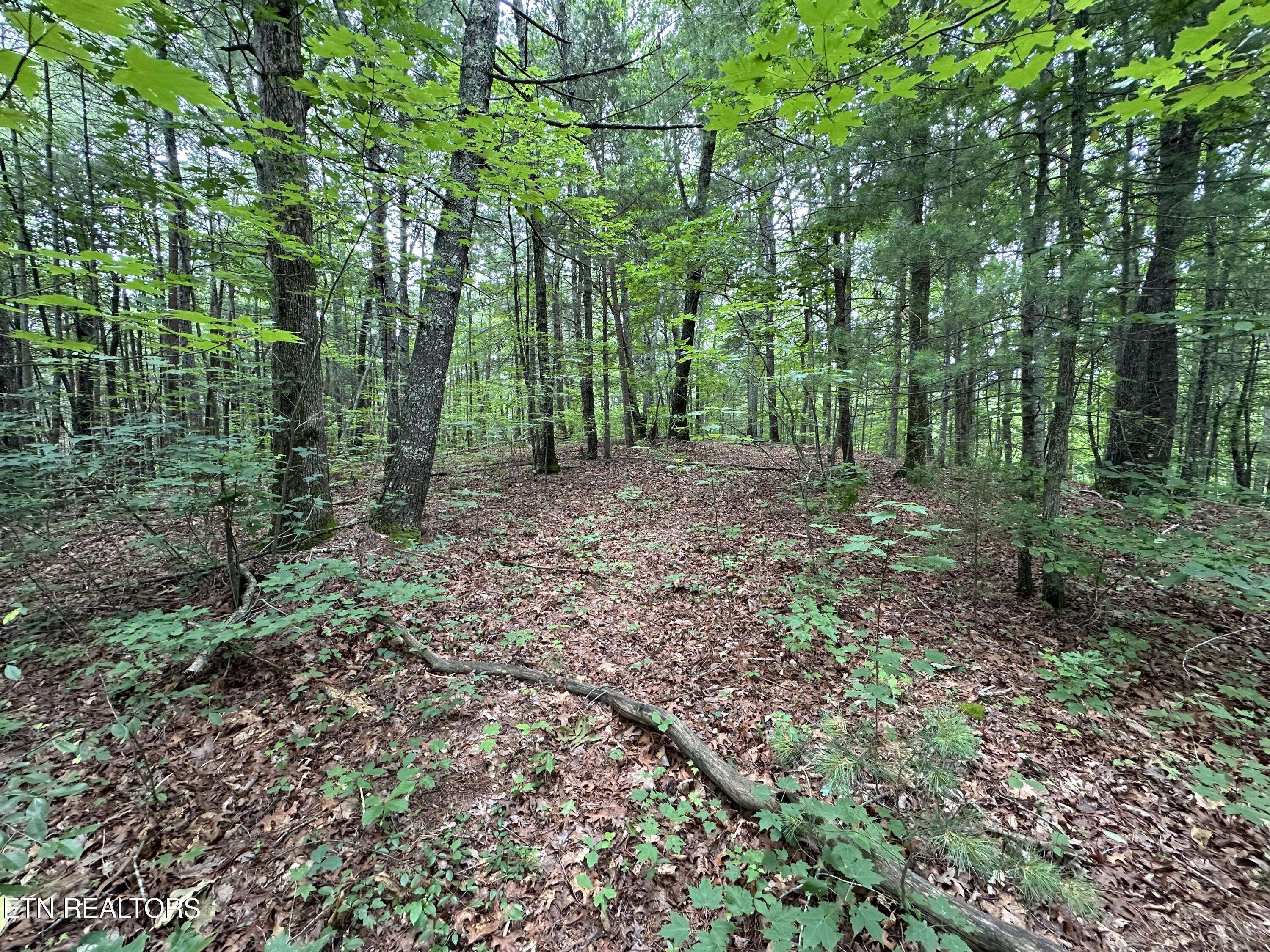 Tellico Plains, TN 37385,000 Towee Falls Rd