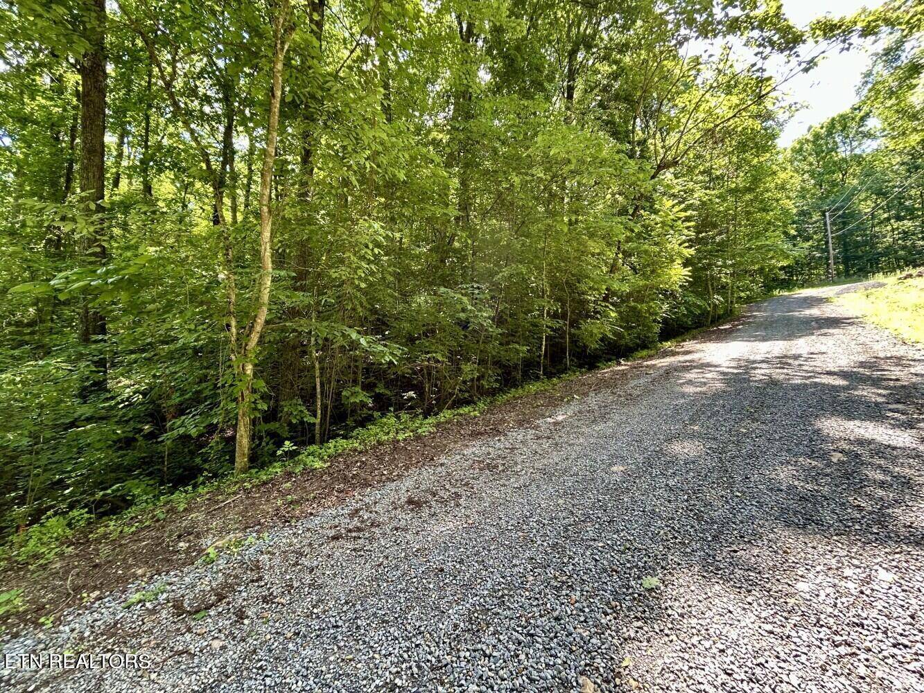 Cosby, TN 37722,TBD Grand Country WAY