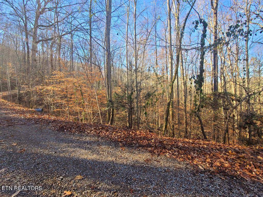 Sevierville, TN 37862,Lot 26 Walden Cove WAY