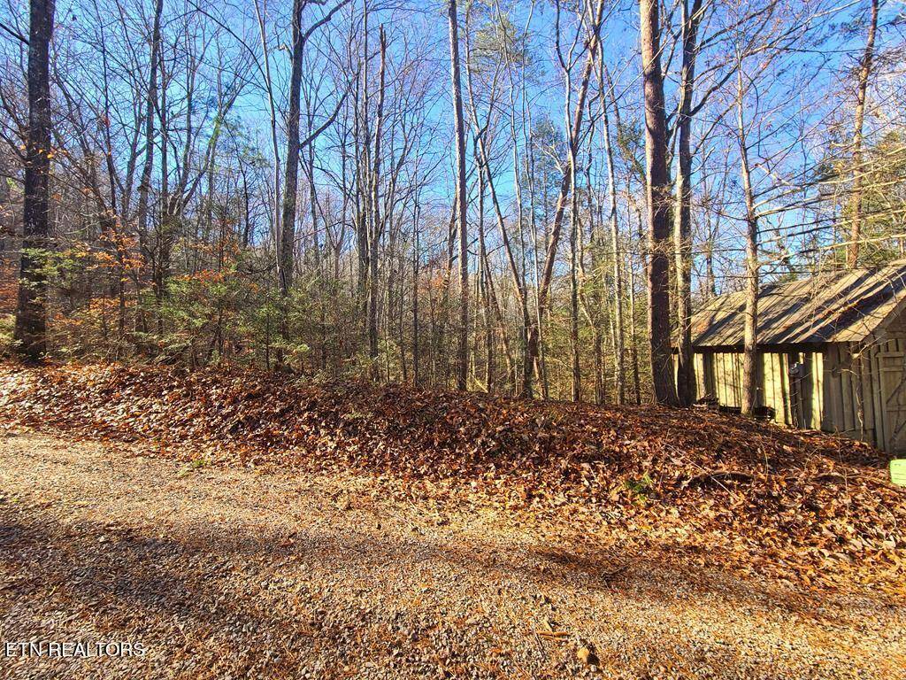 Sevierville, TN 37862,Lot 26 Walden Cove WAY