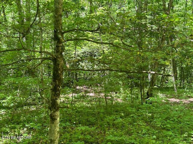 Crossville, TN 38572,Lot 706 Retreat DR