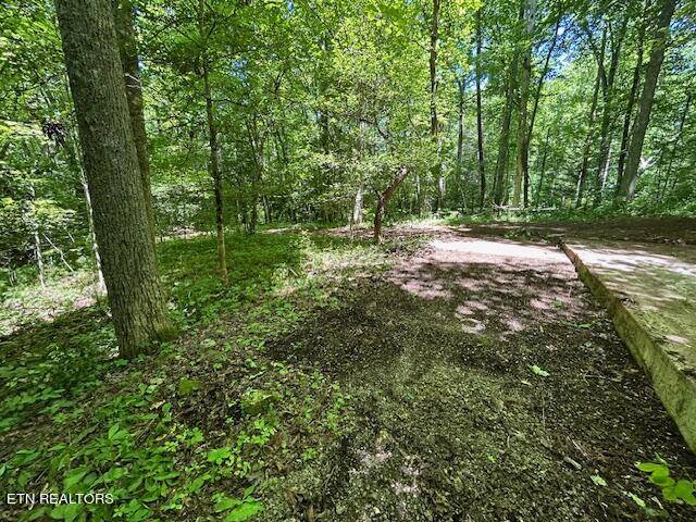 Crossville, TN 38572,Lot 706 Retreat DR