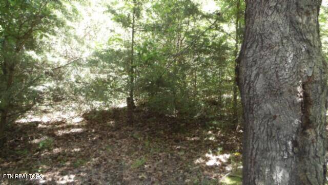 Cookeville, TN 38506,6.90ac Zion Hill Rd