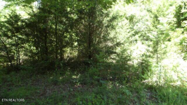 Cookeville, TN 38506,6.90ac Zion Hill Rd