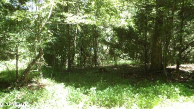 Cookeville, TN 38506,6.90ac Zion Hill Rd