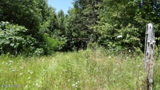 Cookeville, TN 38506,6.90ac Zion Hill Rd