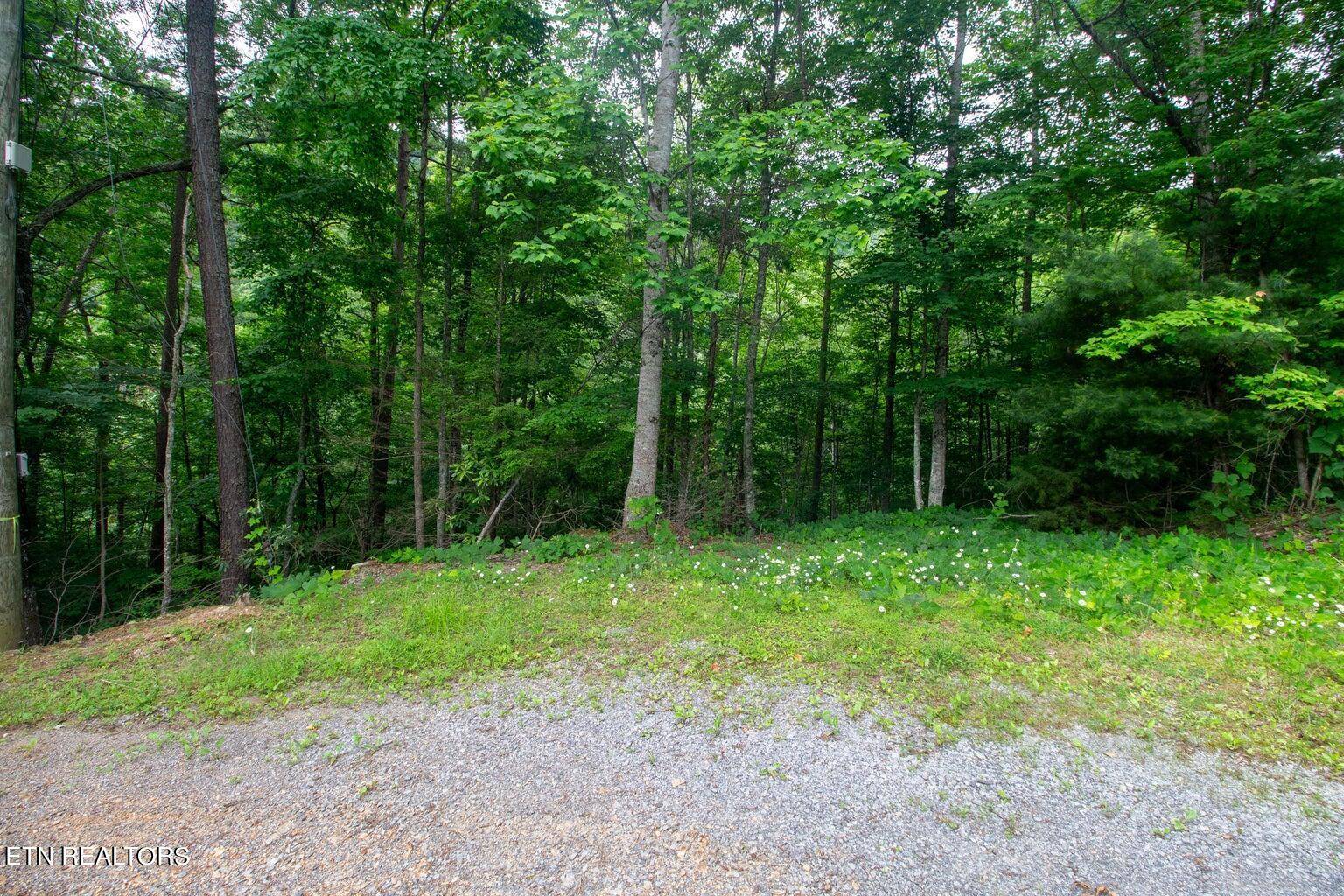 Sevierville, TN 37862,Lot 9 Pine Crest Lane