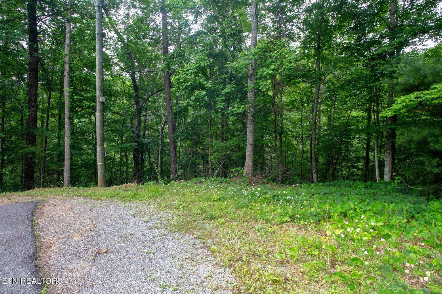 Sevierville, TN 37862,Lot 9 Pine Crest Lane