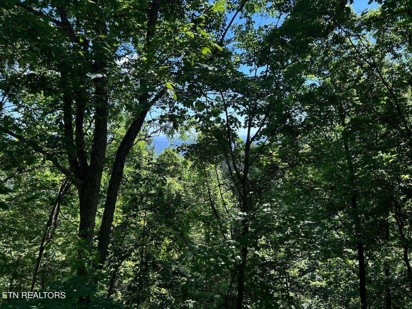 Sevierville, TN 37862,Lot 2 Overholt Trail