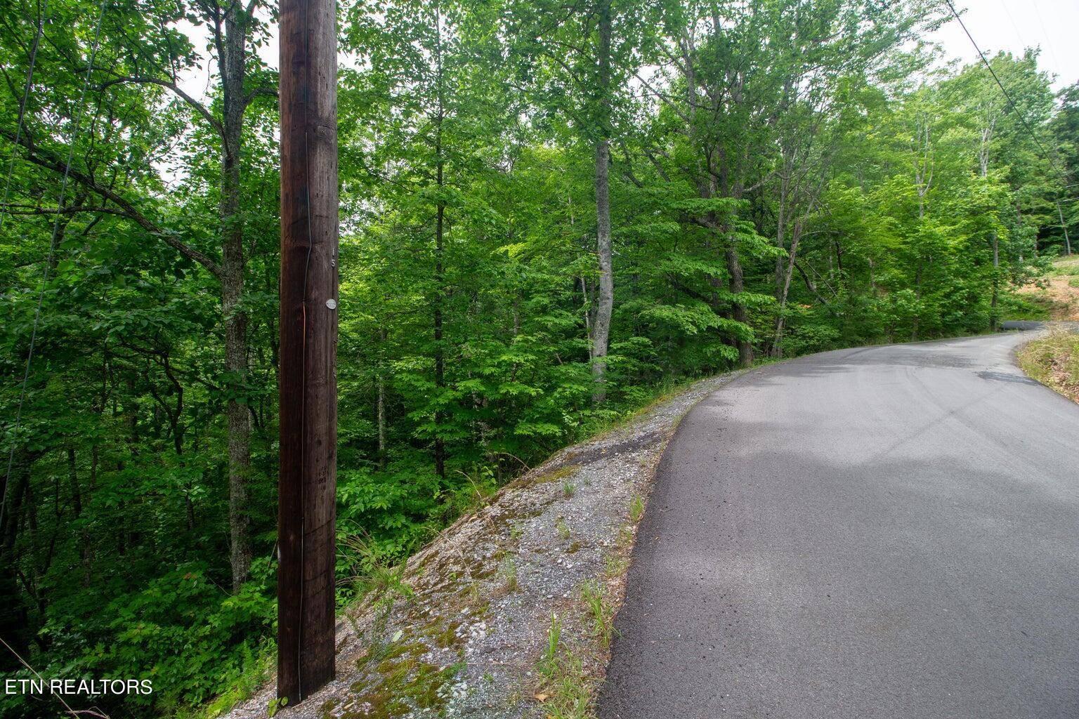 Sevierville, TN 37862,Lot 15 Overholt Trail