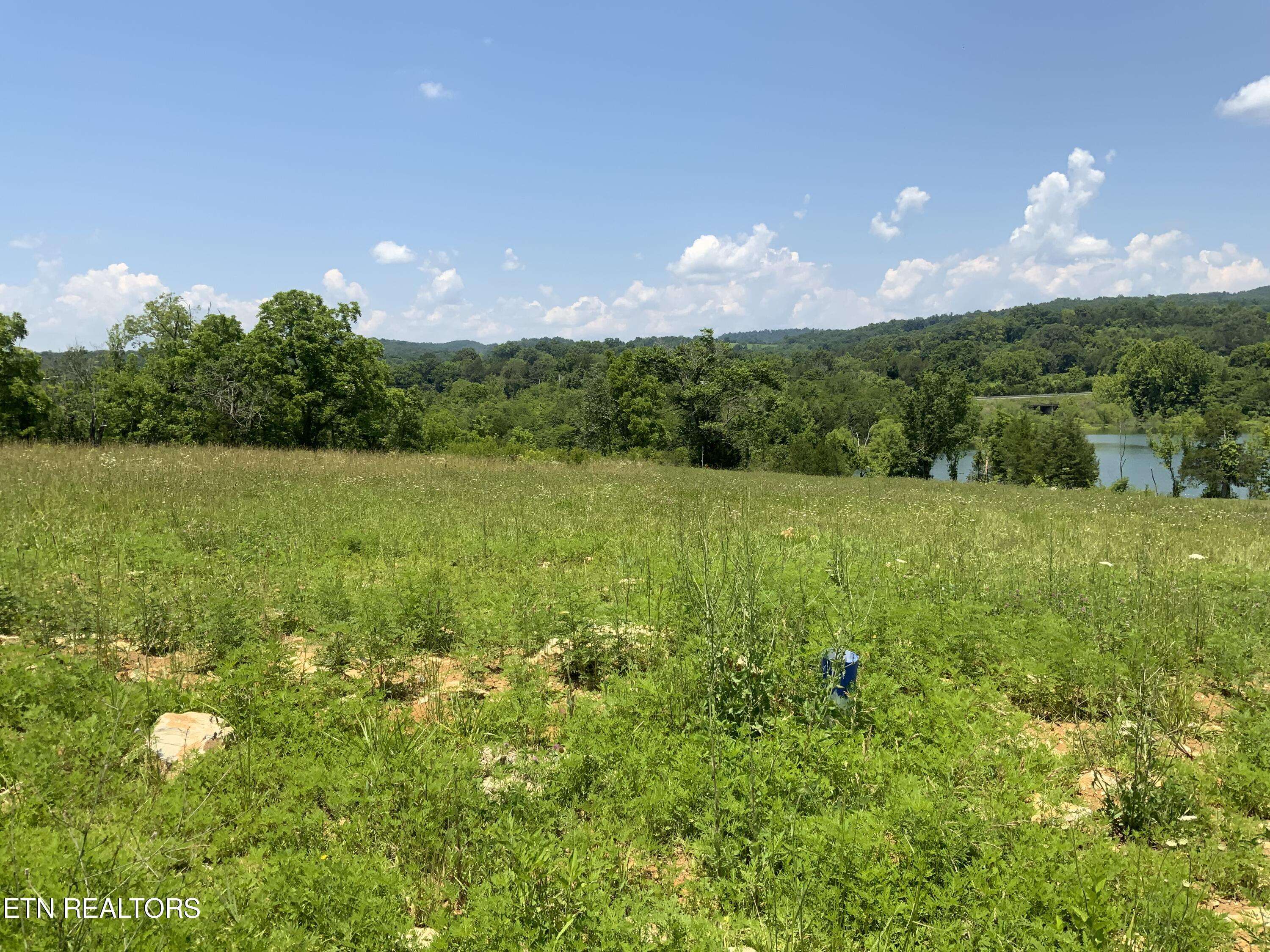 Sharps Chapel, TN 37866,Lot 12 Water Knl