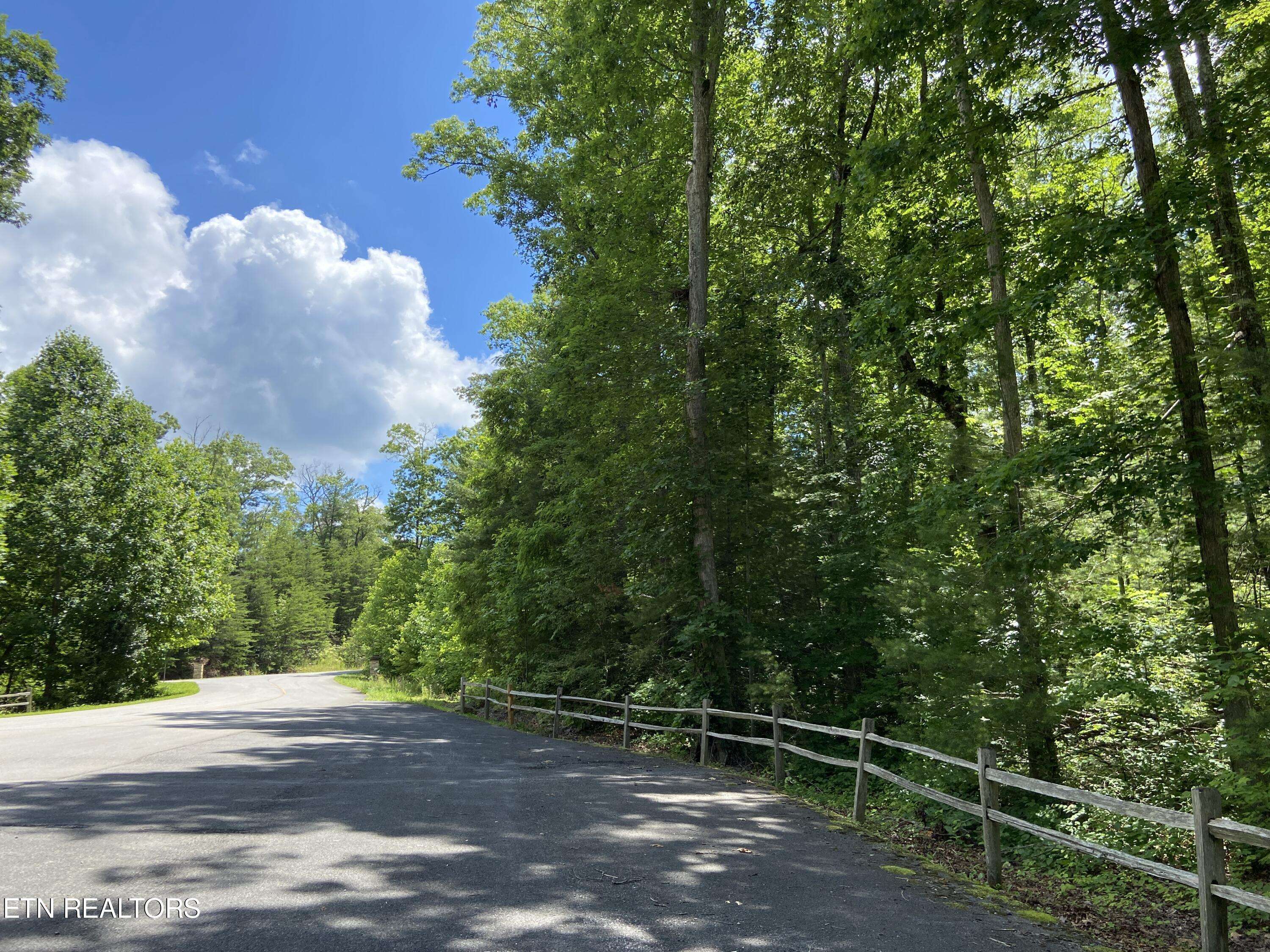 Walland, TN 37886,Lot 33W Long Rifle Rd