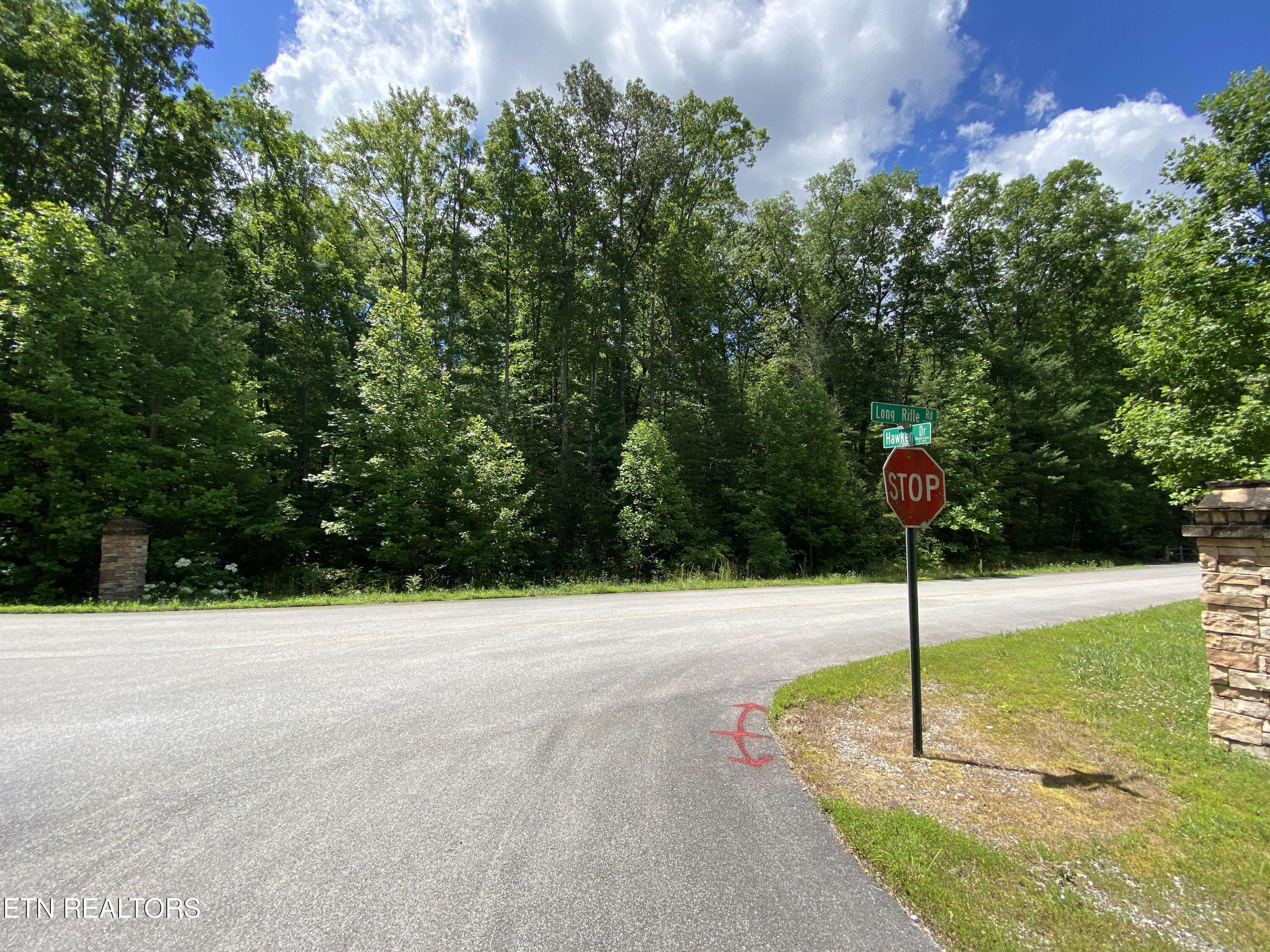 Walland, TN 37886,Lot 33W Long Rifle Rd