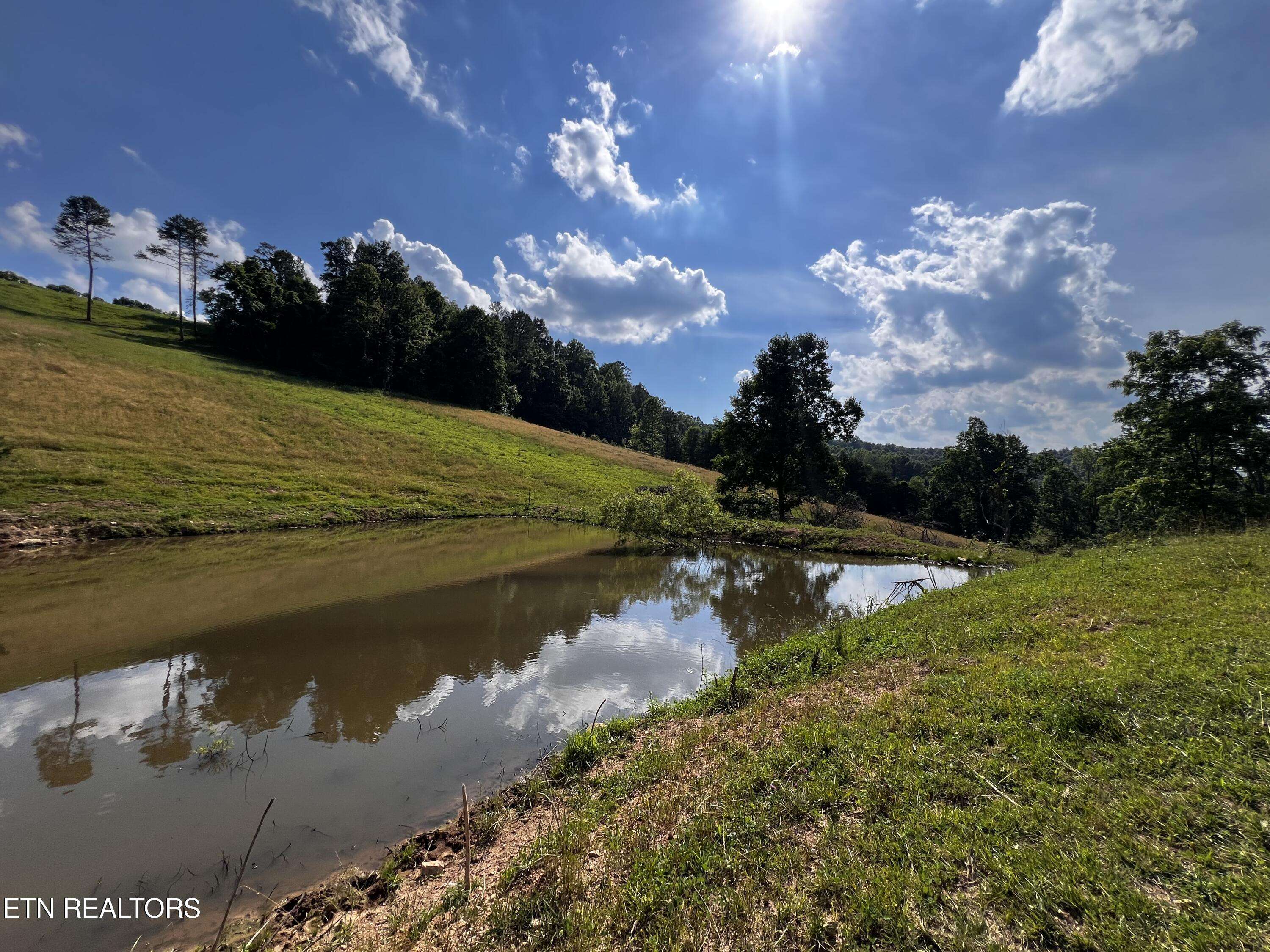 New Tazewell, TN 37825,517 Tilmon West LN