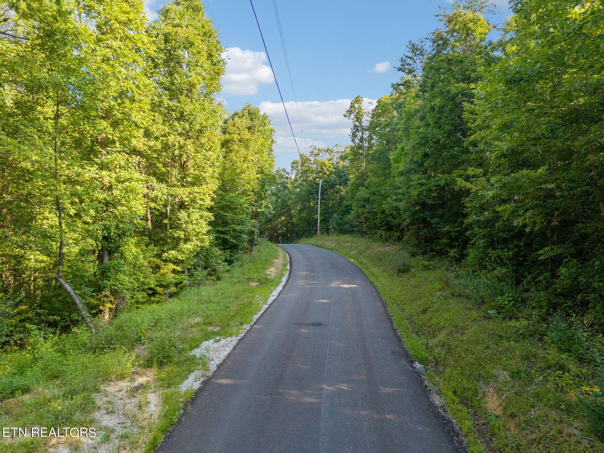 Robbins, TN 37852,Ridge Rd Lot 27