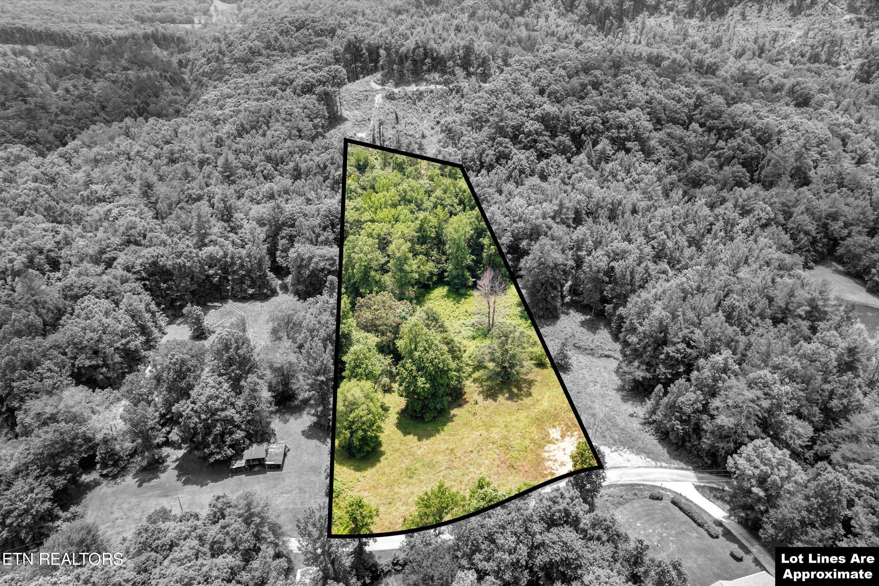 Oliver Springs, TN 37840,Lot 3R-3 Cove LN