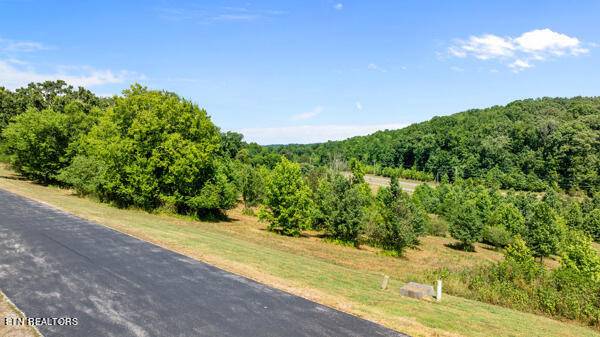 Rockwood, TN 37854,105 Roaming Fawn DR