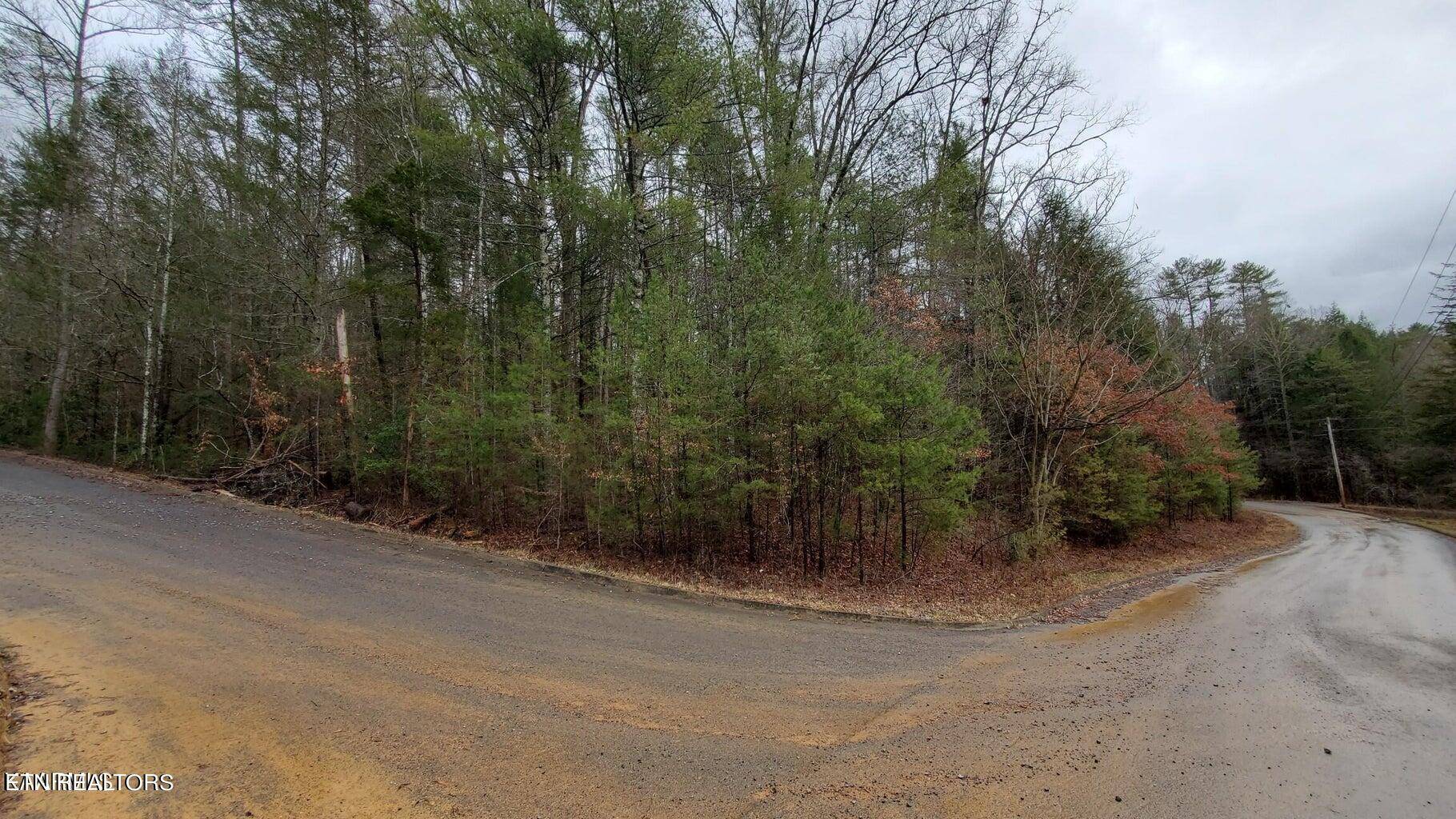 Sevierville, TN 37876,Lot 10 Rail Hill LN