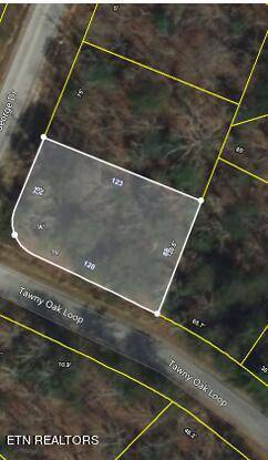 Crossville, TN 38558,738 St George DR