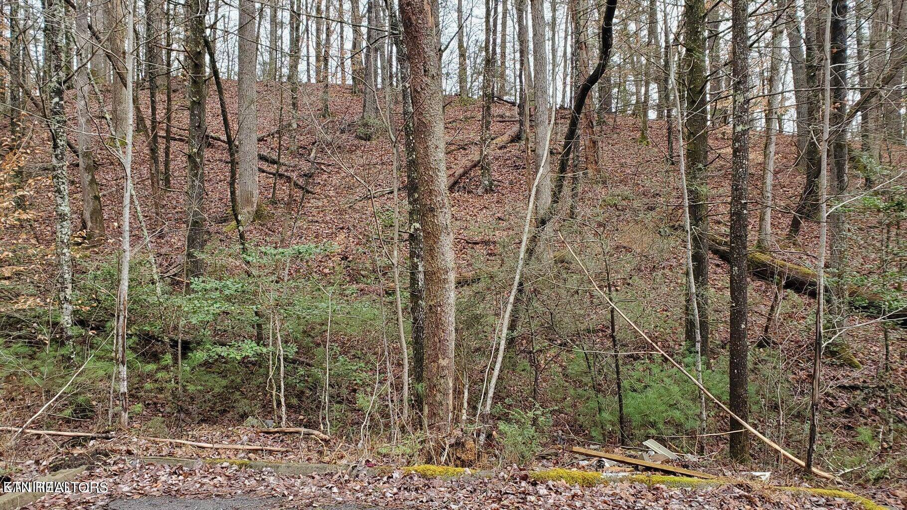 Sevierville, TN 37876,Lot 12 Peace LN