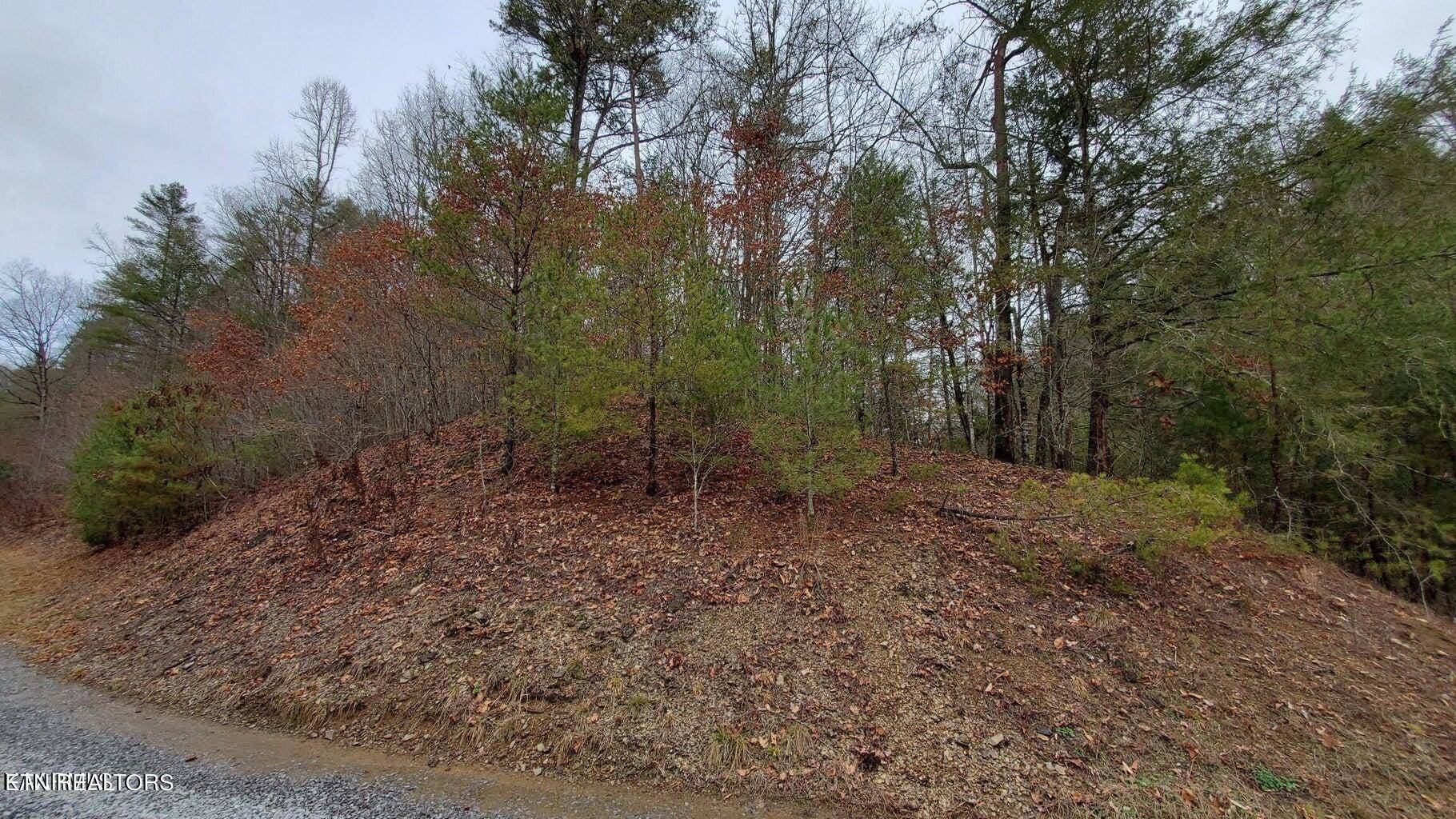 Sevierville, TN 37876,Lot 18 Harmony LN