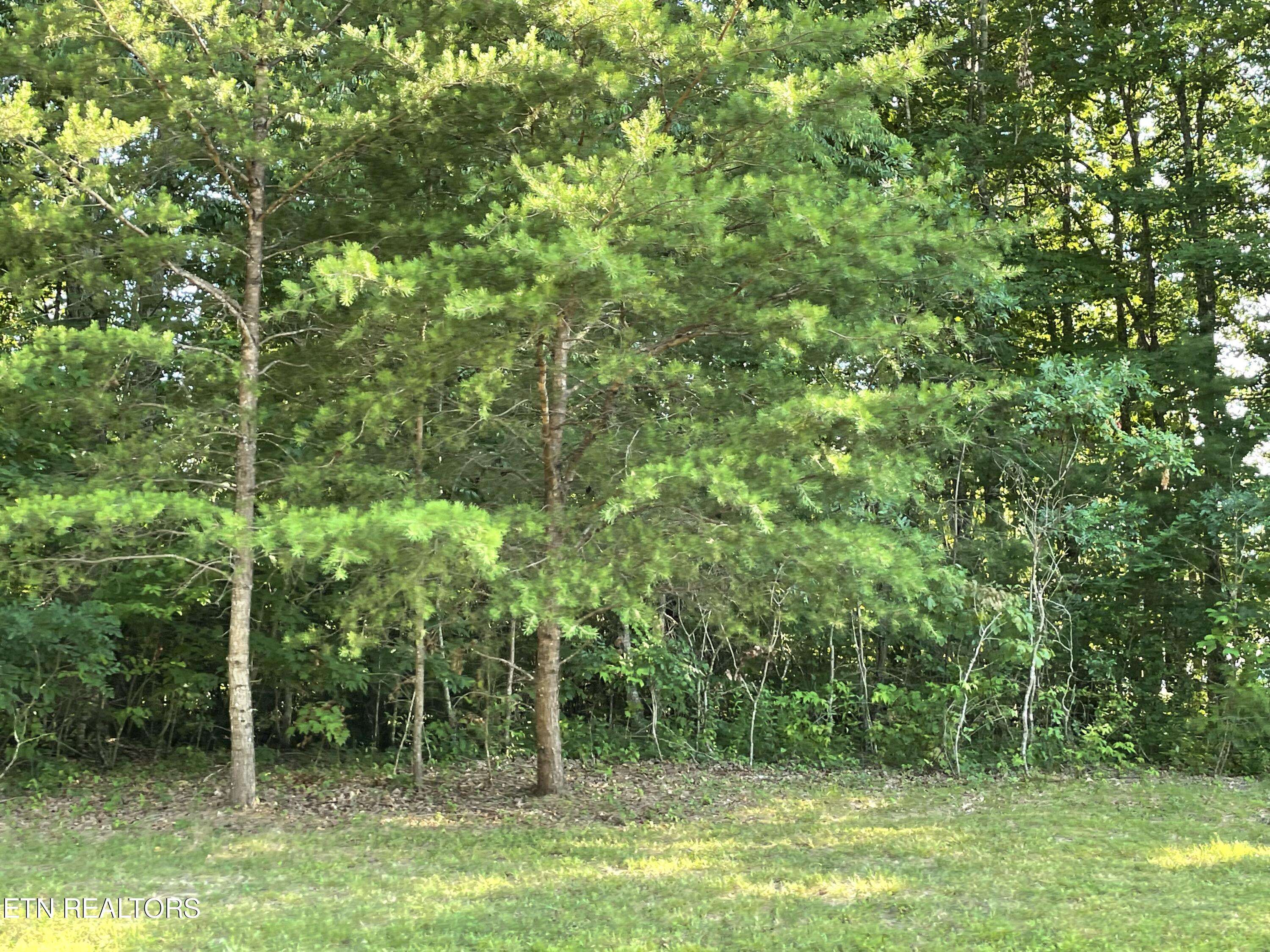 Clarkrange, TN 38553,Lot 139 Hayden LN