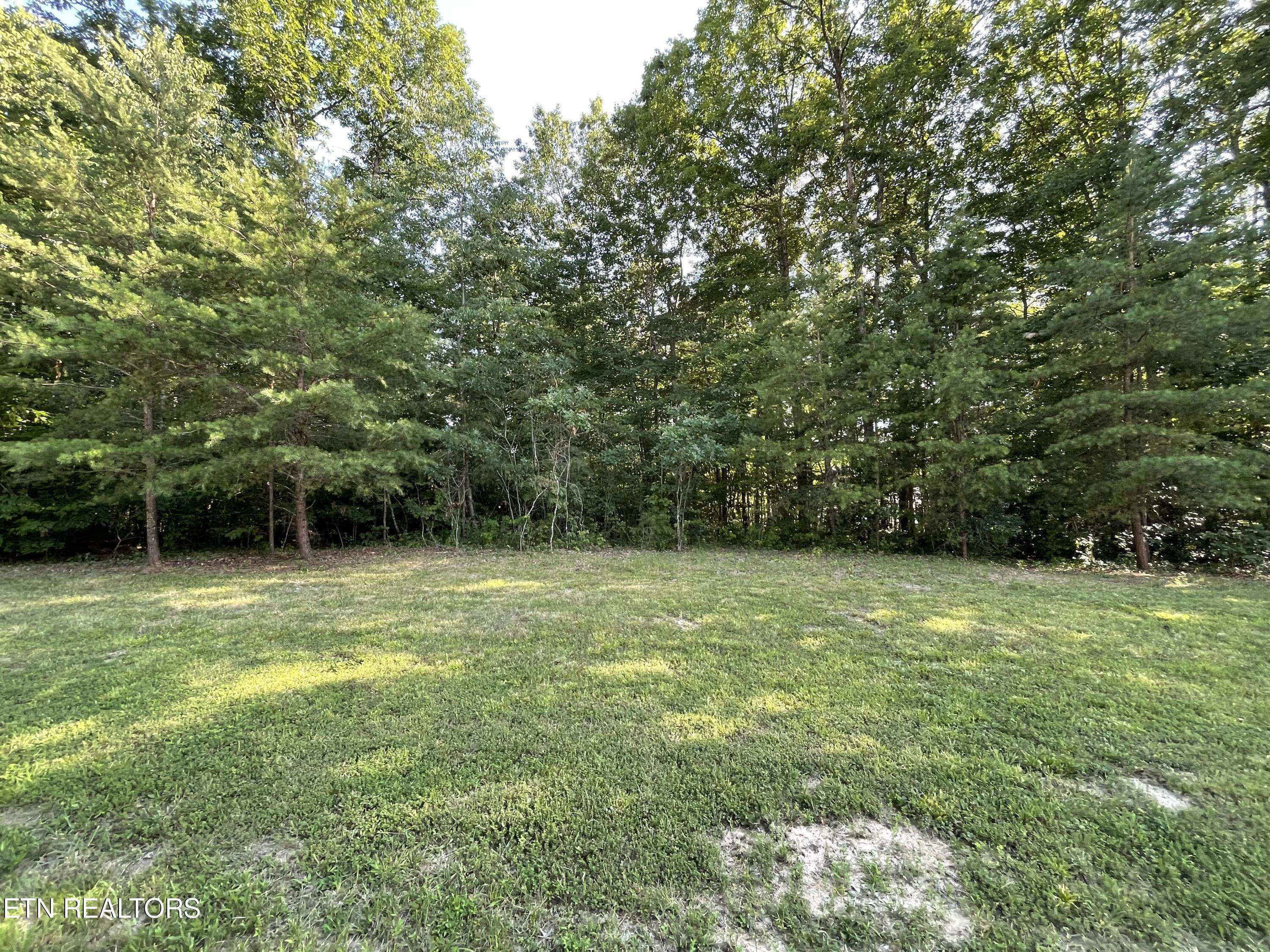 Clarkrange, TN 38553,Lot 139 Hayden LN