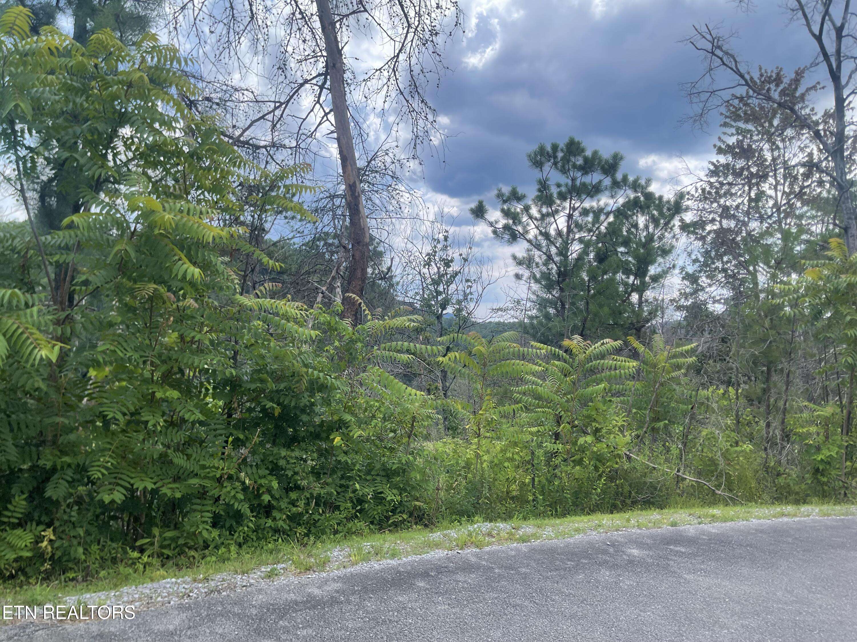 Sevierville, TN 37862,River Birch Lot 4 WAY