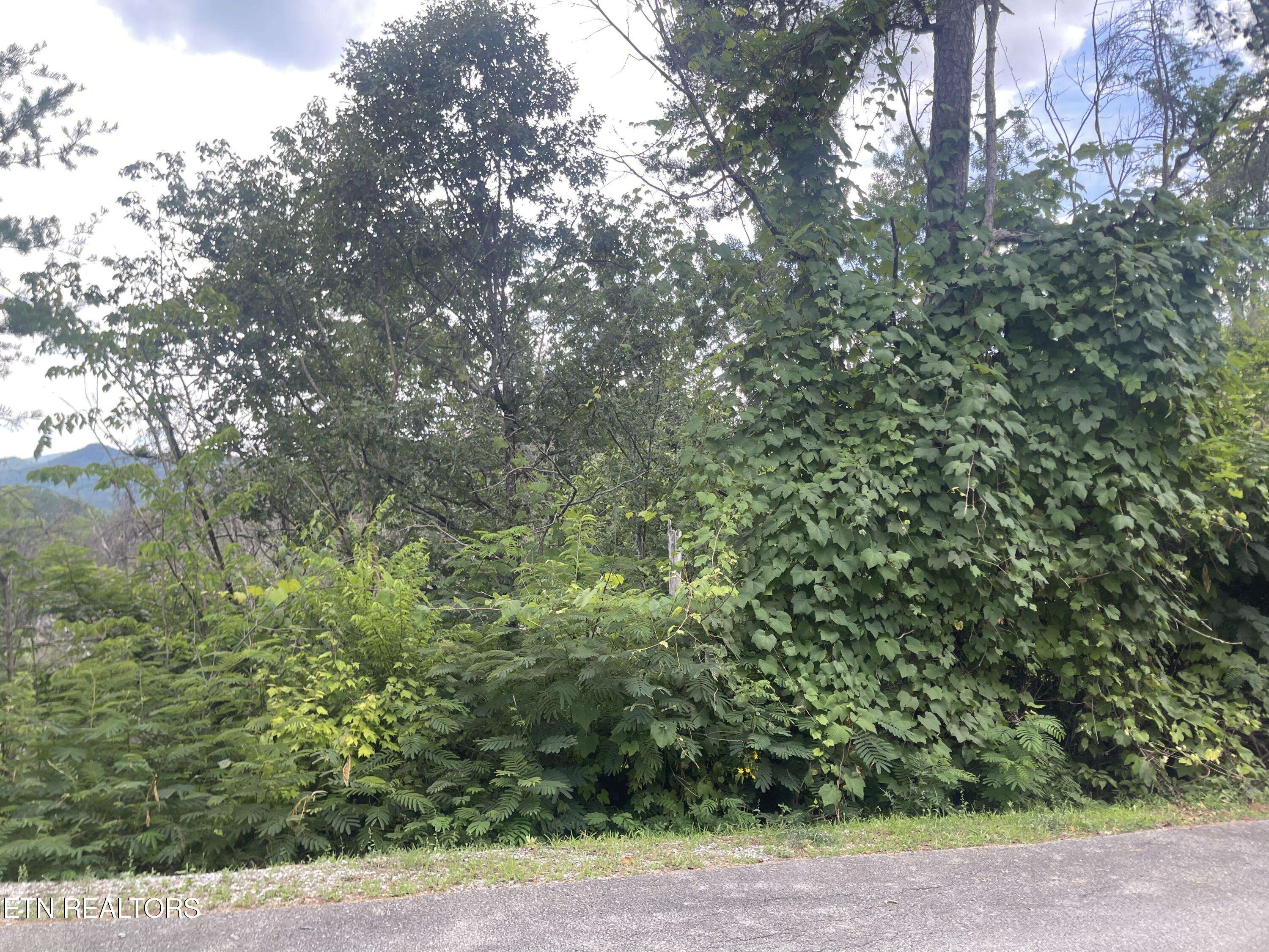 Sevierville, TN 37862,River Birch WAY