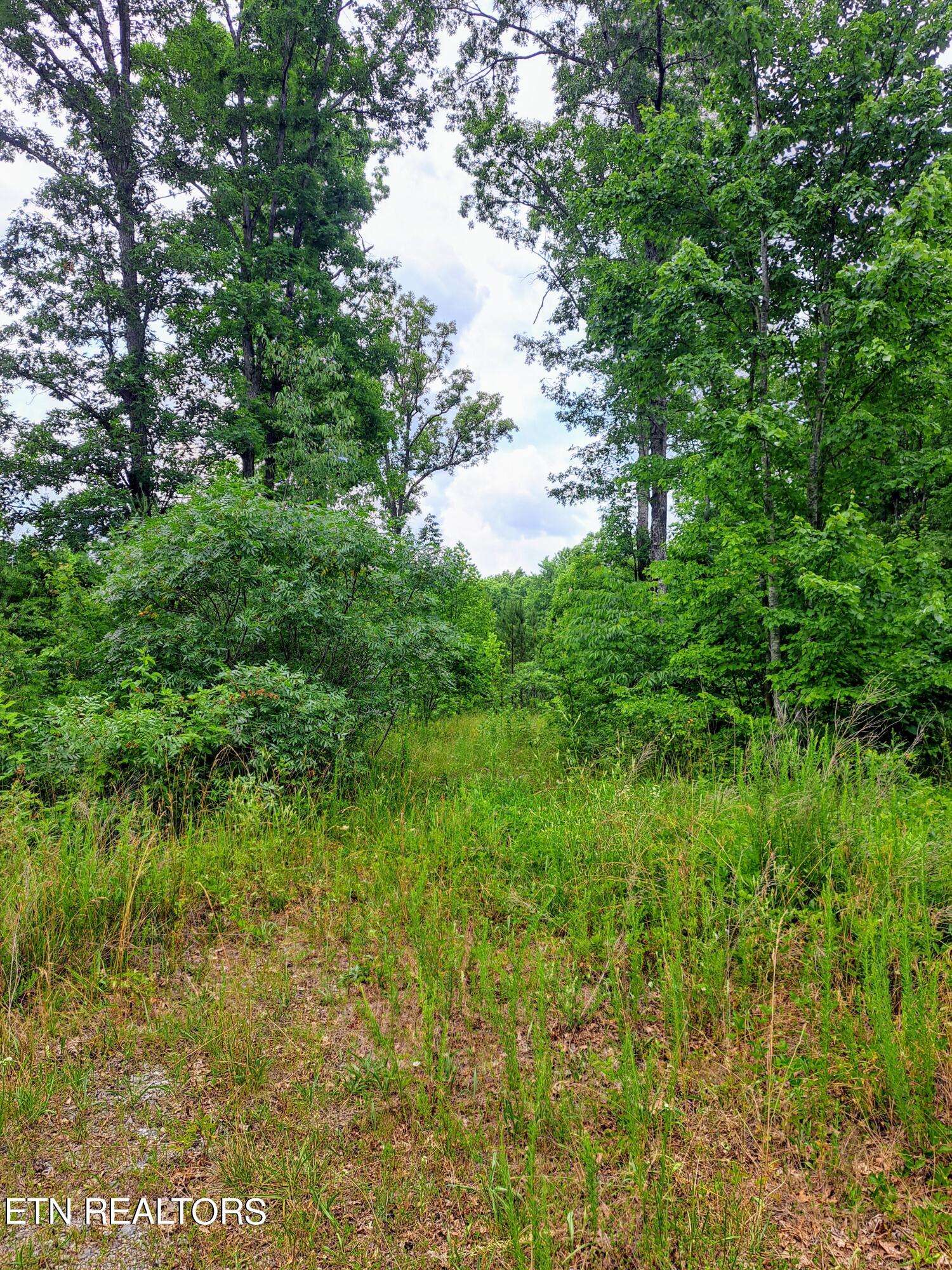 Clarkrange, TN 38553,Shelby WAY