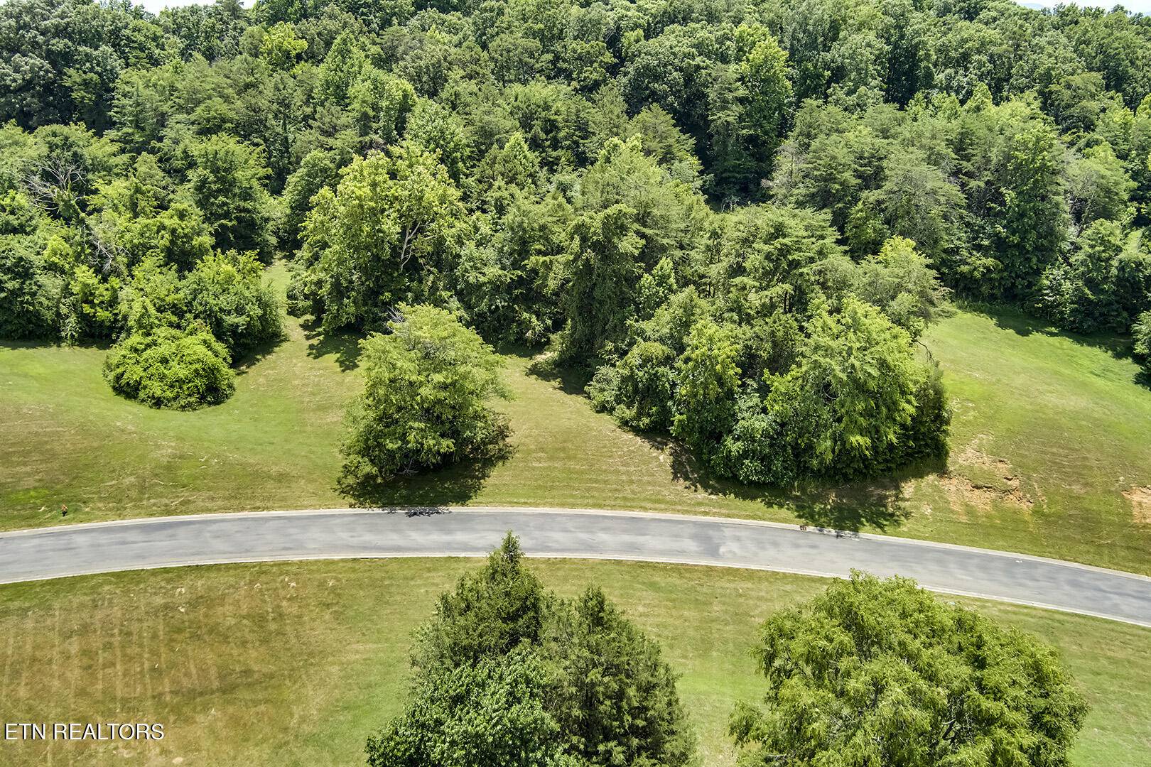 Vonore, TN 37885,Lot 45R Thunder Ridge DR