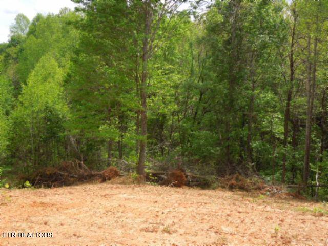 Hilham, TN 38568,18.64ac Turkey Town Rd