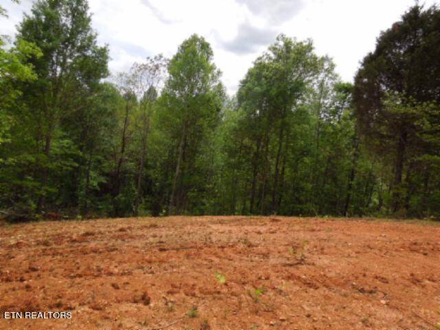 Hilham, TN 38568,18.64ac Turkey Town Rd