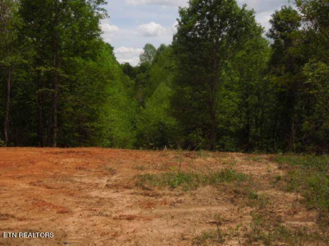 Hilham, TN 38568,18.64ac Turkey Town Rd