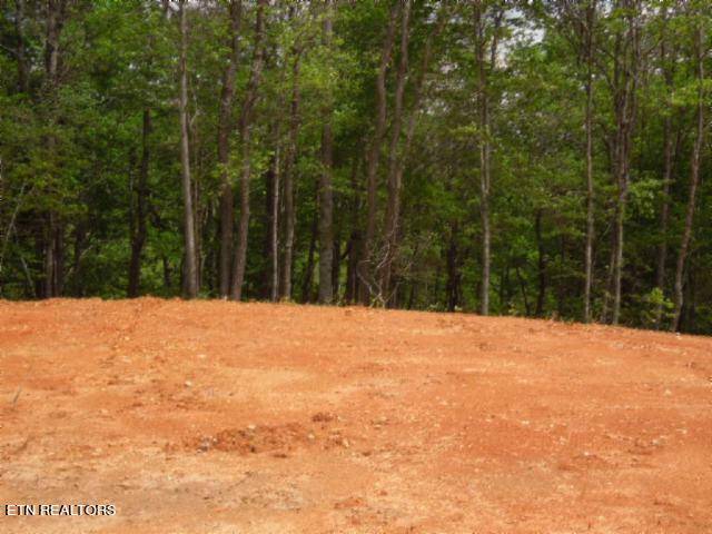 Hilham, TN 38568,18.64ac Turkey Town Rd