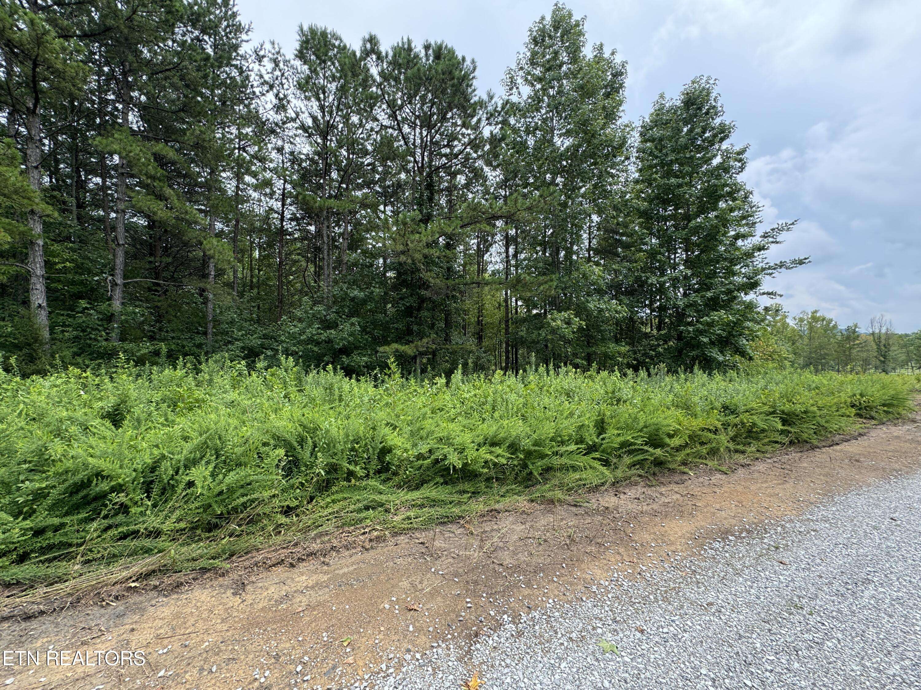 Winfield, TN 37892,Cordell Mtn Pvt(tract 10) LN