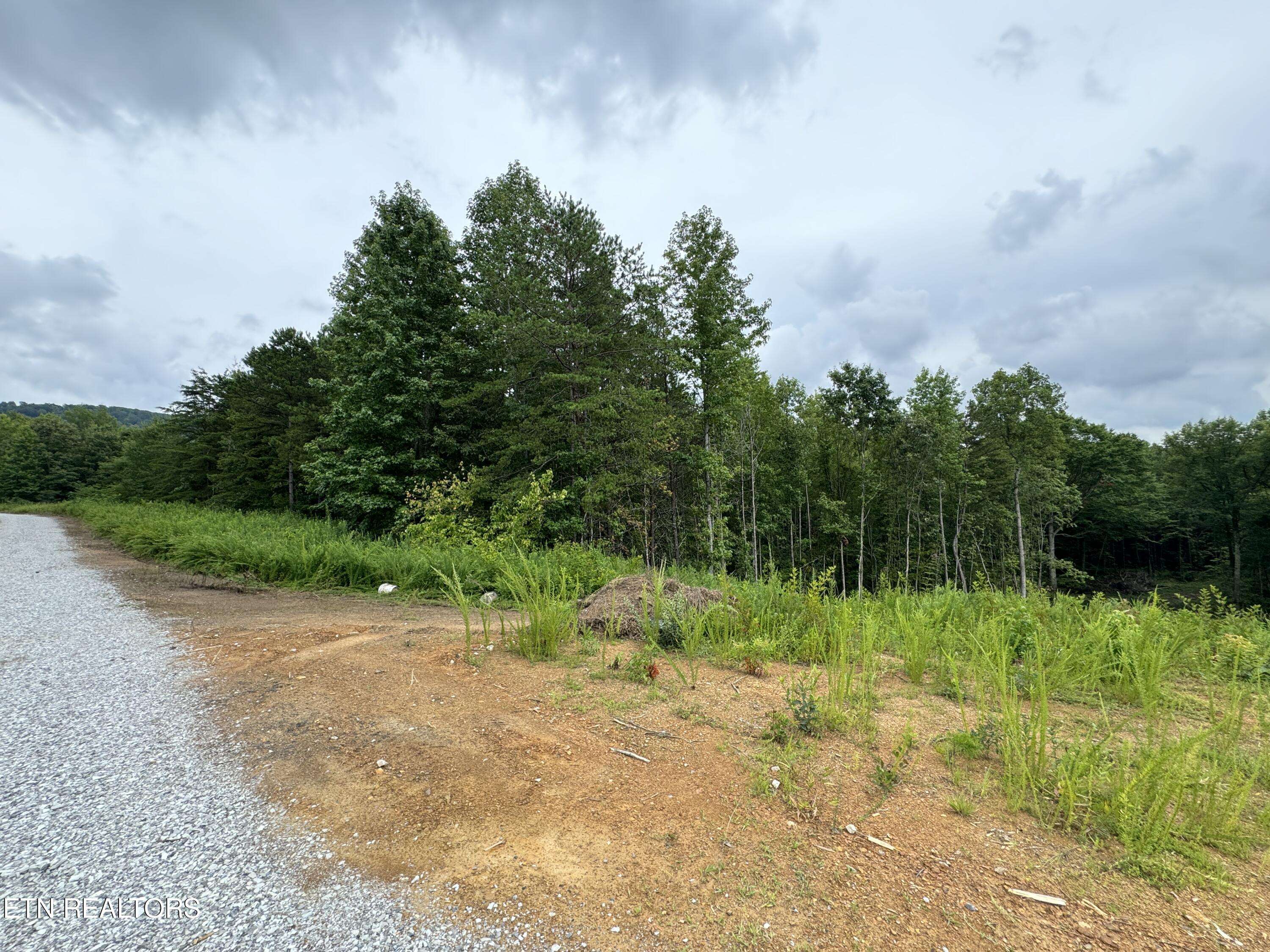 Winfield, TN 37892,Cordell Mtn Pvt(tract 10) LN