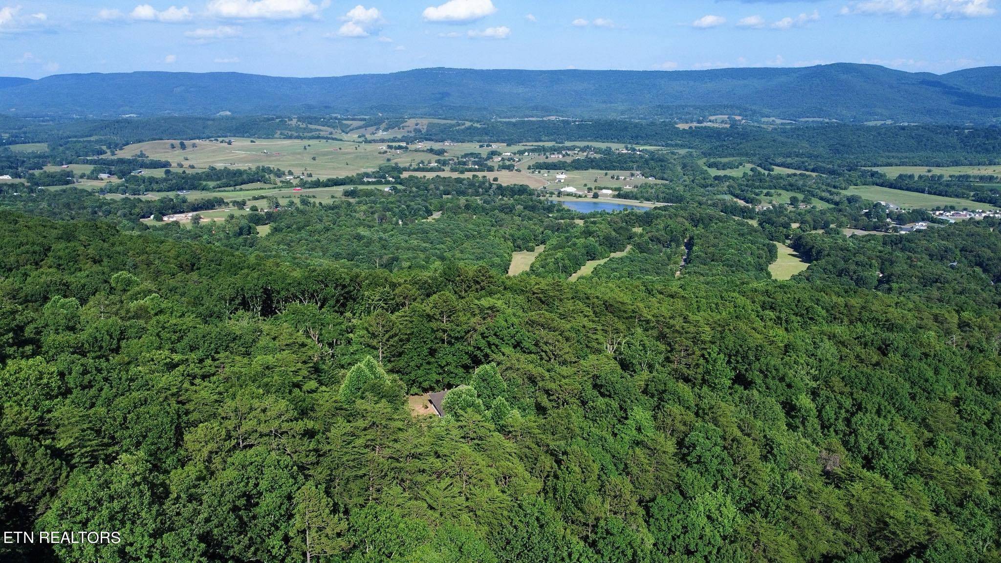 Dunlap, TN 37327,95 Acres Off Blue Sewanee Rd