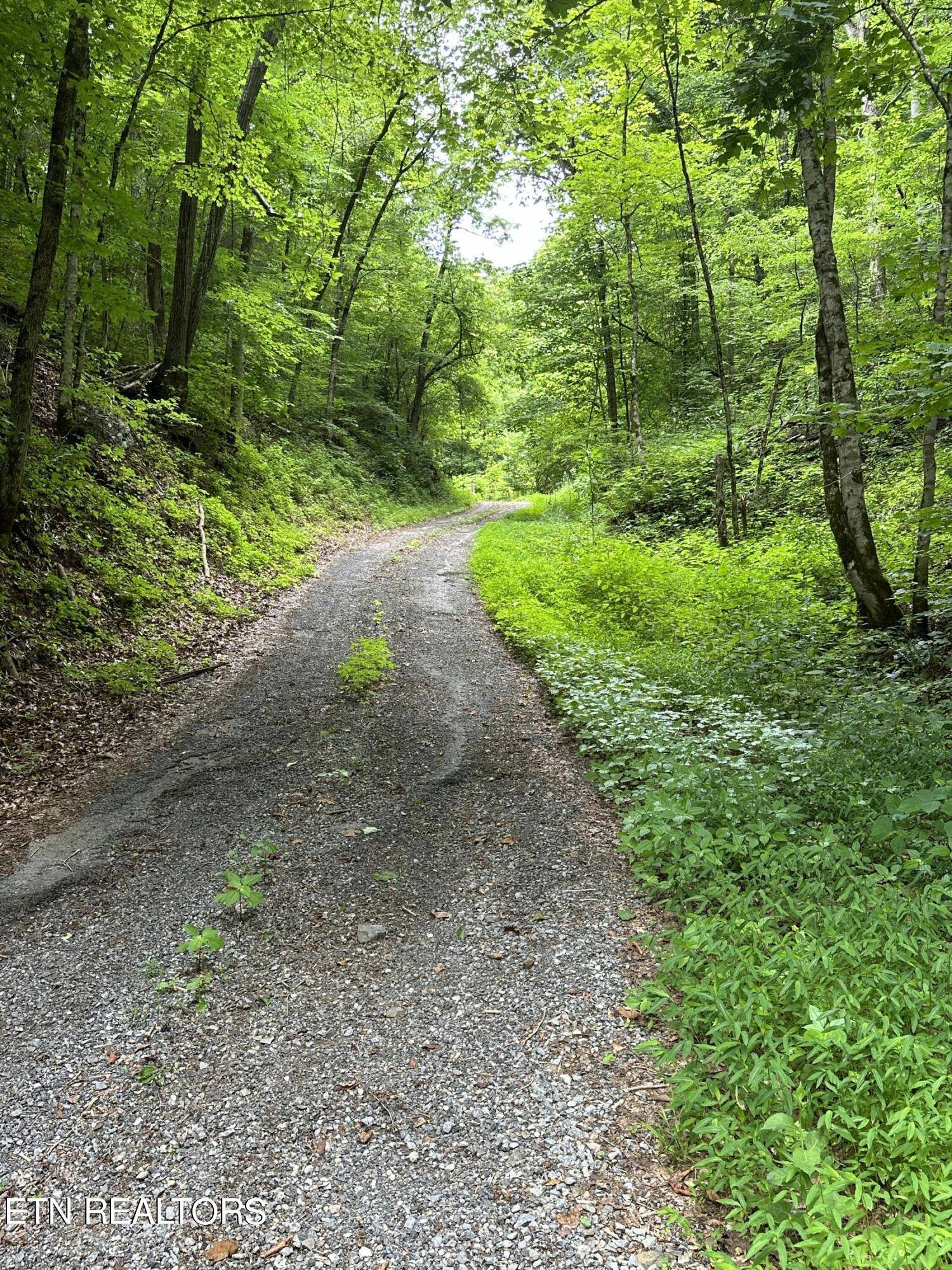 Sneedville, TN 37869,00 Black Sheep Hollow  22.75 acre Rd